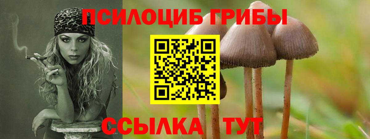 Галлюциногенные грибы Psilocybe  Вход с VPN  Елизово  Псилоцибиновые грибы GOLDEN TEACHER 